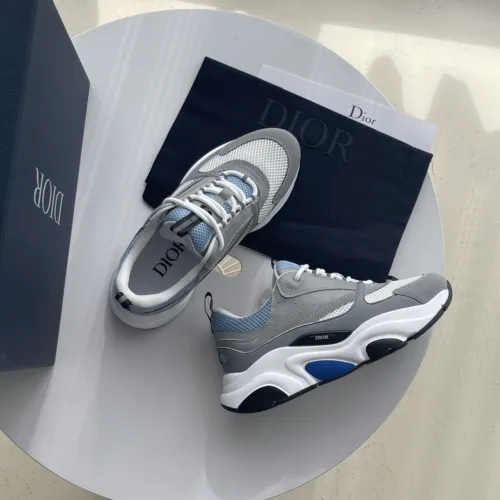 Dior B22 Grey / Blue
